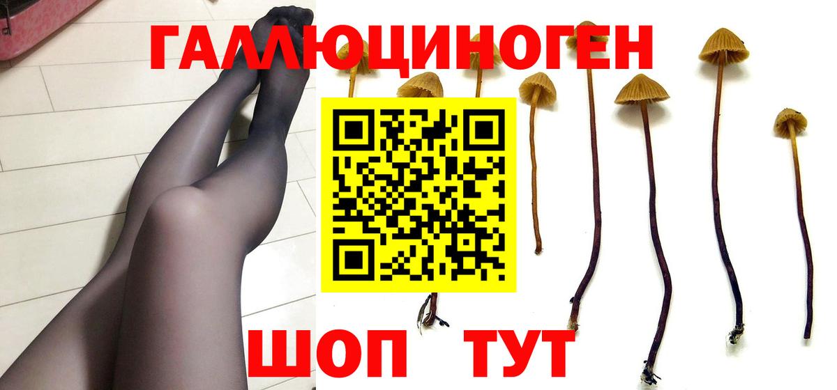 Псилоцибиновые грибы Psilocybe  хочу   Псилоцибиновые грибы мицелий  Удомля  Вход с VPN 